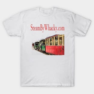 Steam bywhacky.com T-Shirt